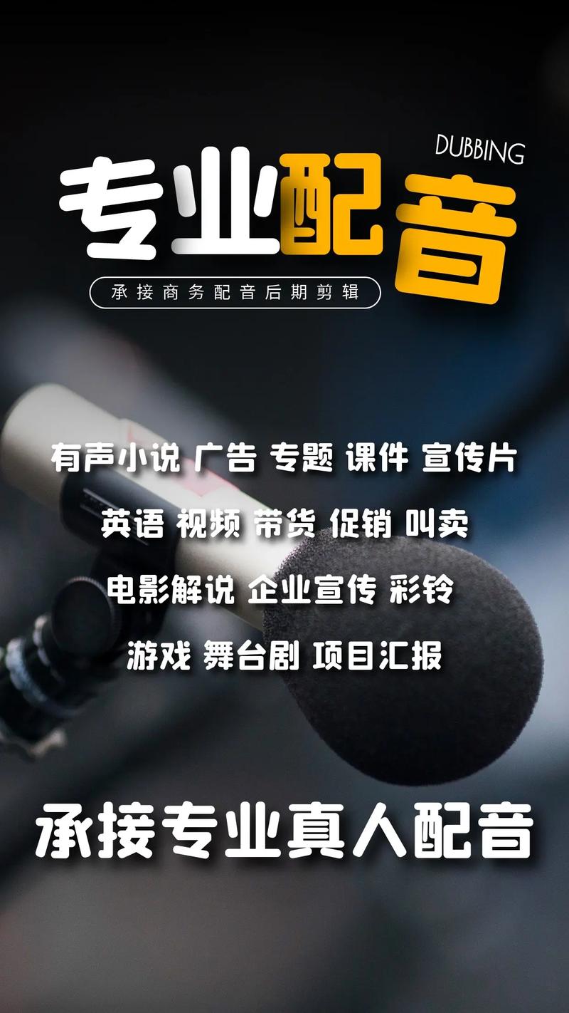 商务配音与音频后期 打造专业声音的艺术